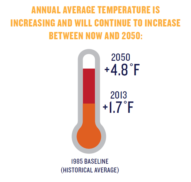 Annual Temperature Infographic