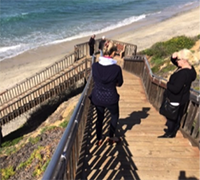 Friends of Cardiff and South Carlsbad State Beaches