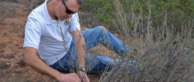 U.S. Fish and Wildlife Service Mitigation Project Helps San Diego’s Natural Environment