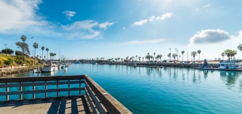Oceanside Charitable Foundation members make an impact in the community by combining their philanthropy to support programs helping advance quality of life in Oceanside.