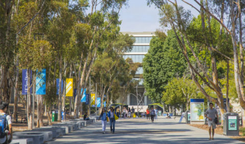 The University of California San Diego campus