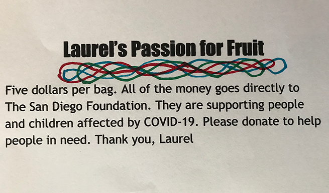 Middle School Student Sells Dried Fruit to Support COVID-19 Relief
