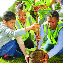 Nonprofit partners planting a tree