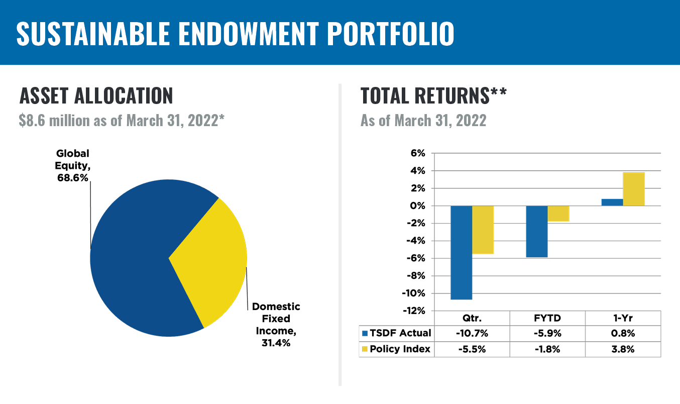 Sustainable Endowment Portfolio