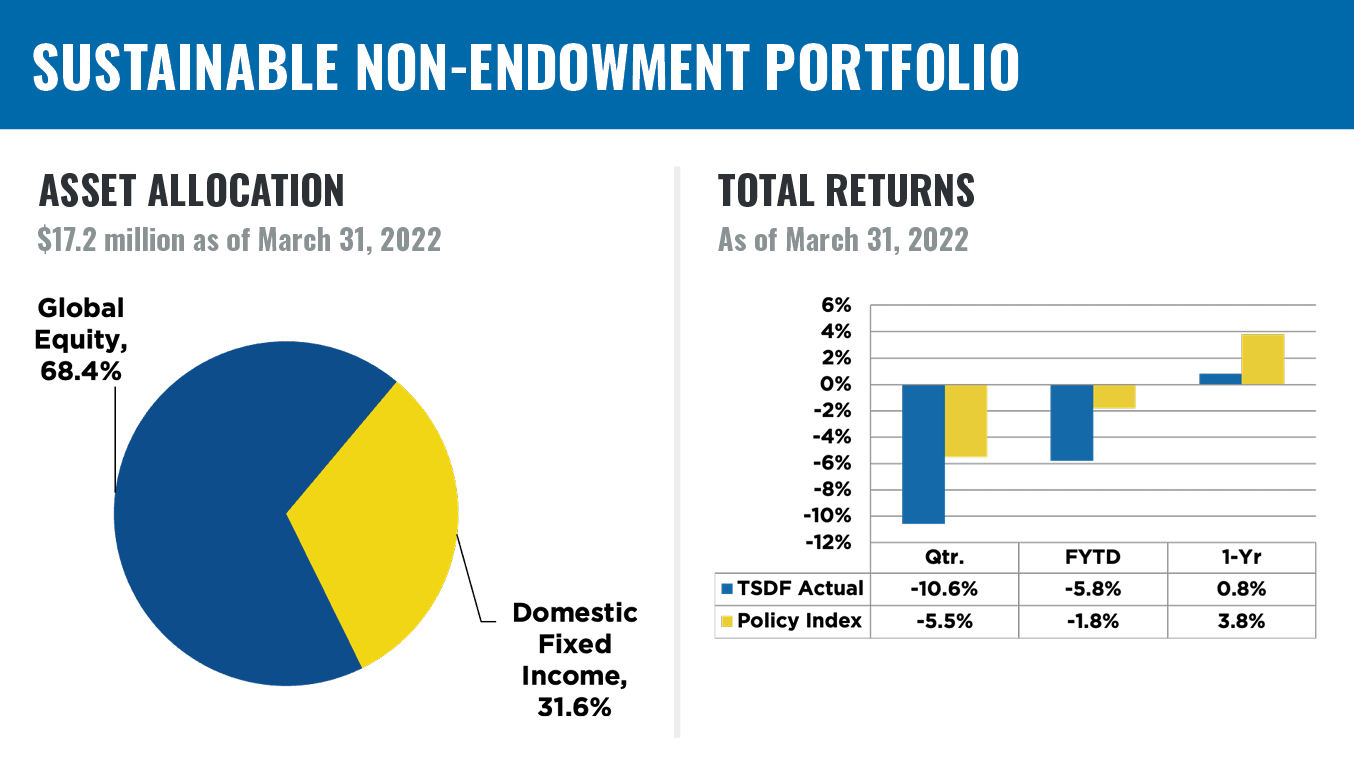 Sustainable Non-Endowment Portfolio