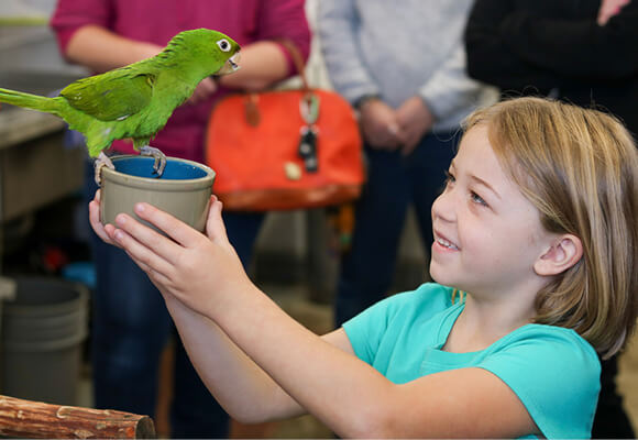 Living Coast Discovery Center