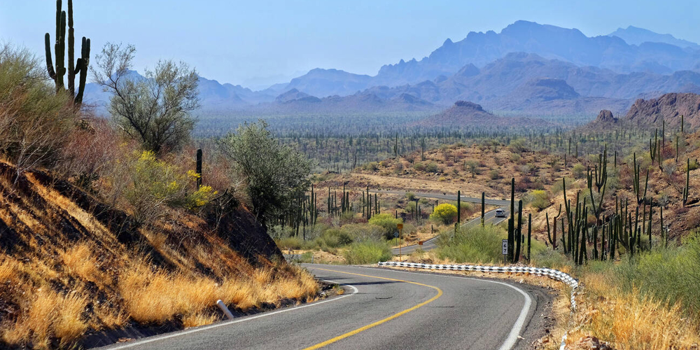A road through Mexican desert in Baja California Sur. Landscape with cactus and mountains at the background