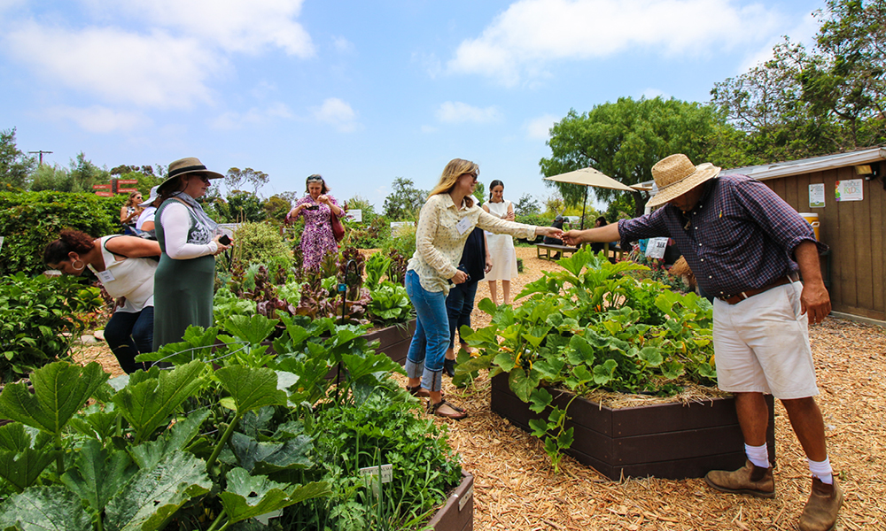 People at vegetable garden