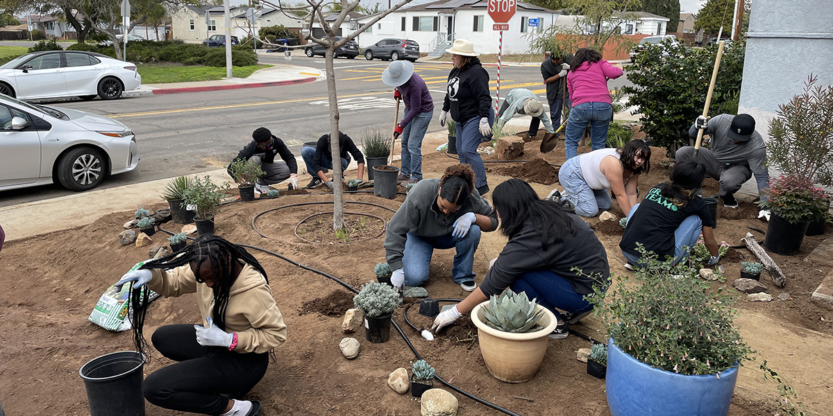 Rain garden installation volunteers and workers