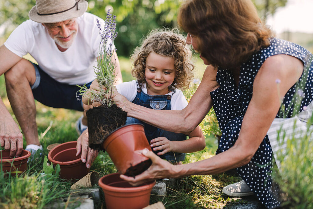Grandparents with grandchild gardening