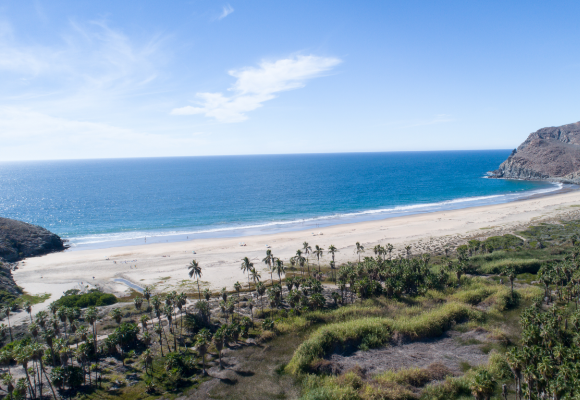 Cali Baja coast