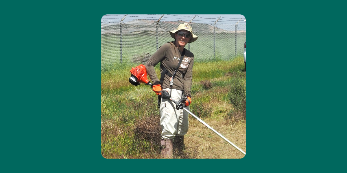 Susan weeding to enhance artificial burrows for the burrowing owl at Caltrans Lonestar Preserve in Southern California.