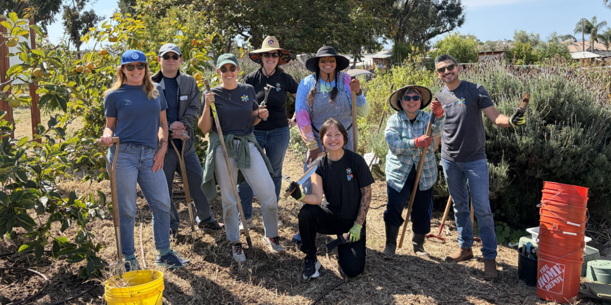 SDF Volunteer Day October 2025