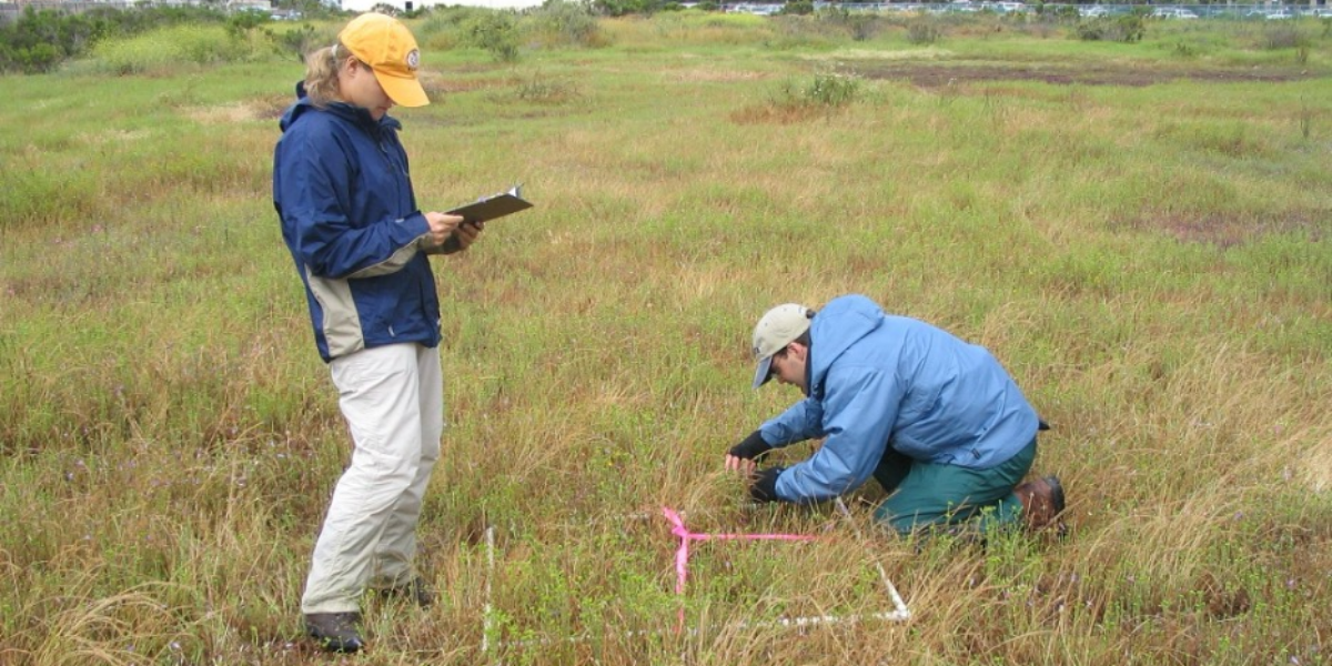 Biologists Holly Cheong and Keith Greer monitor rare plant species