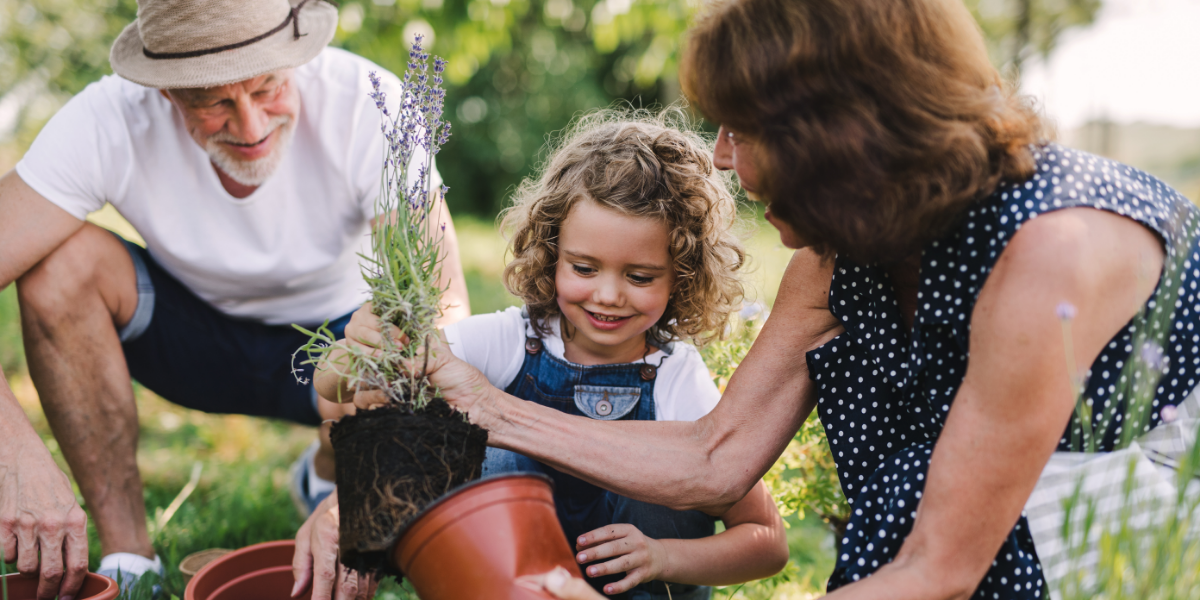 Grandparents with grandchild gardening outside