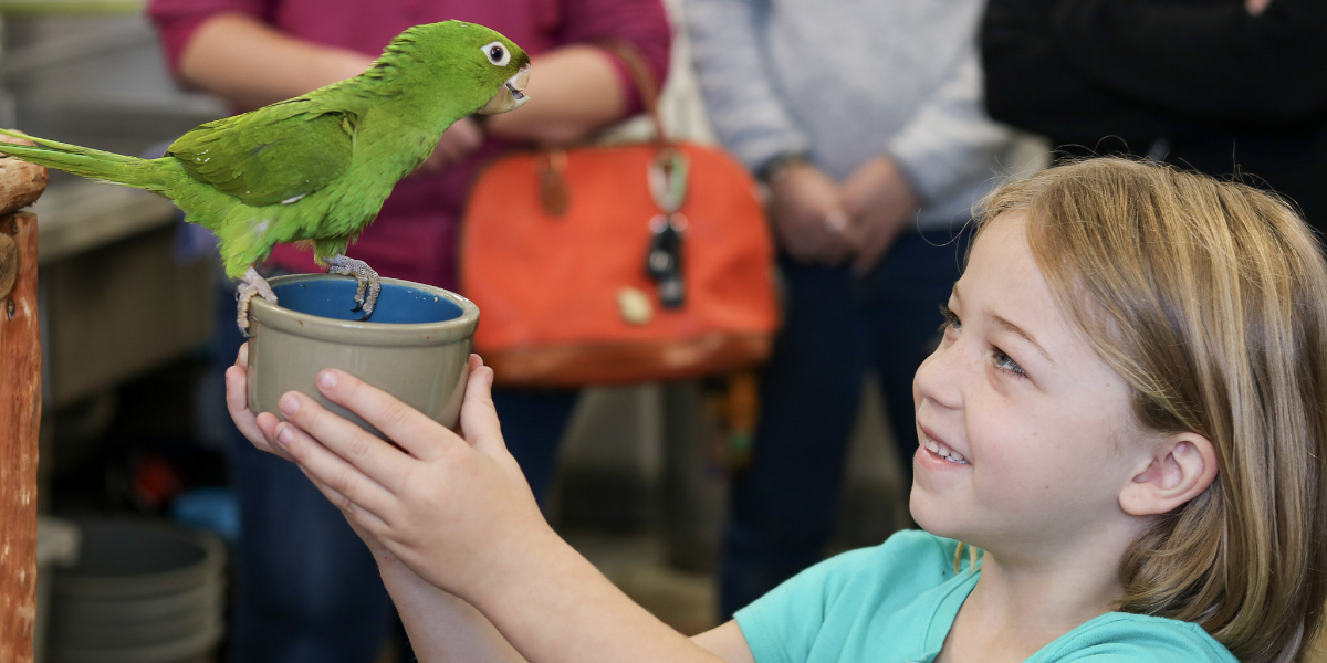 Living Coast Discovery Center
