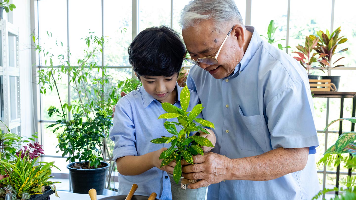 Grandfather and grandson planting
