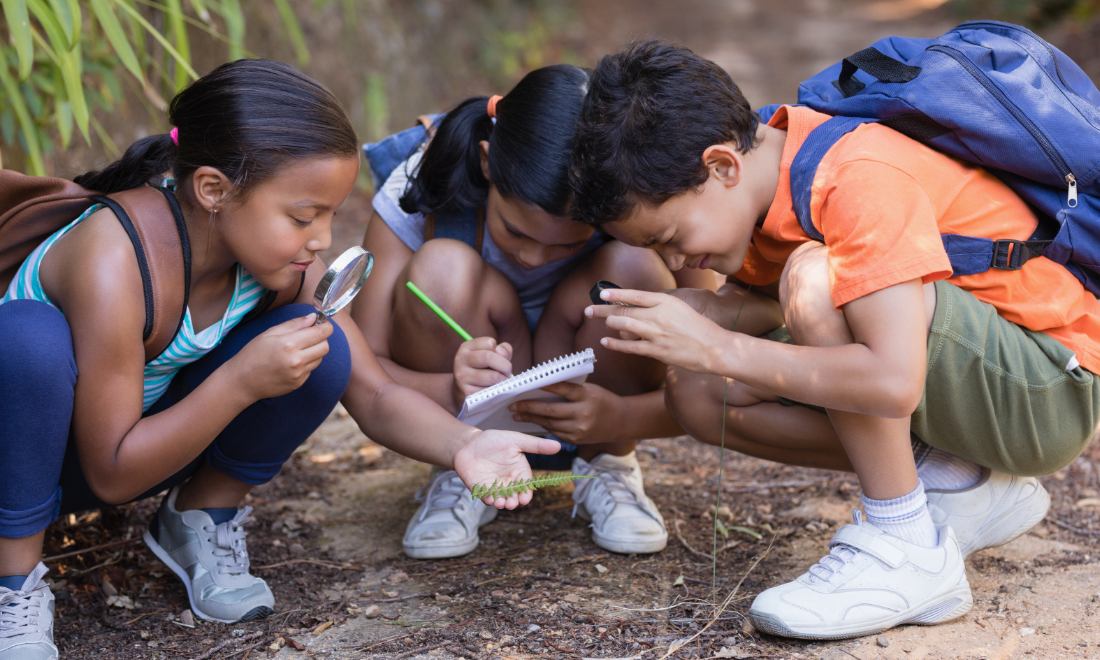 Children studying outdoors